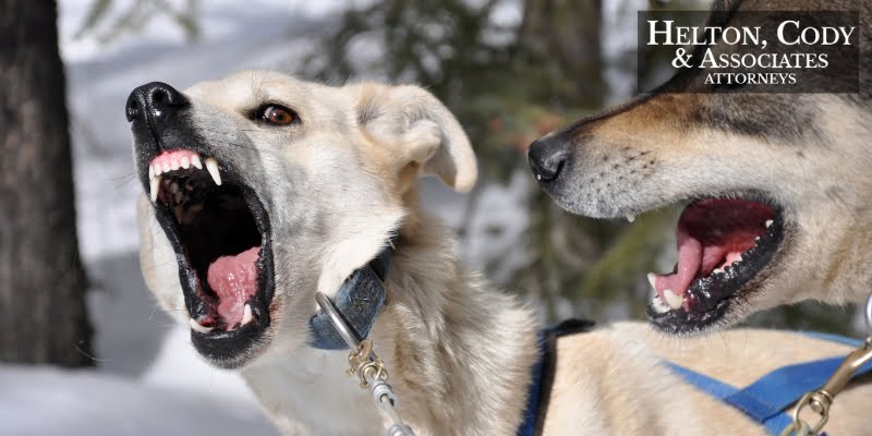 hickory dog bite attorney