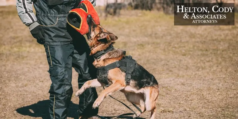 Average Dog Bite Settlement in North Carolina