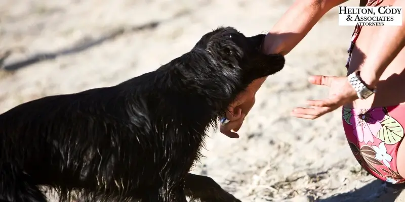 How Long Does a Dog-Bite Lawsuit Take in Hickory, NC?