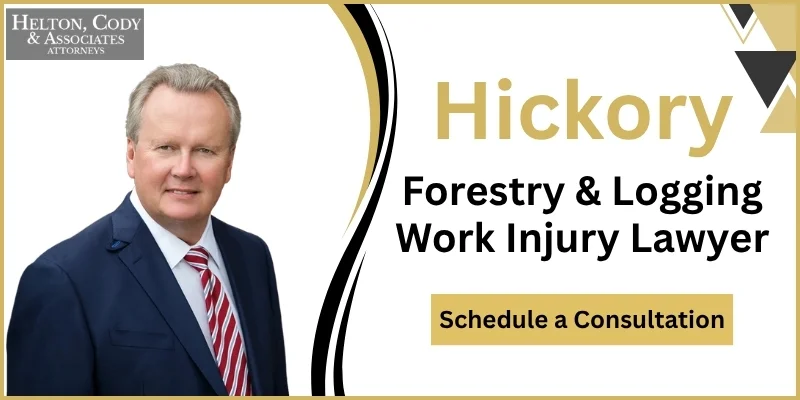 best forestry & logging Work injury lawyer in hickory