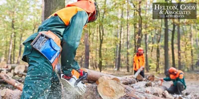 best forestry & logging work injury attorney in hickory